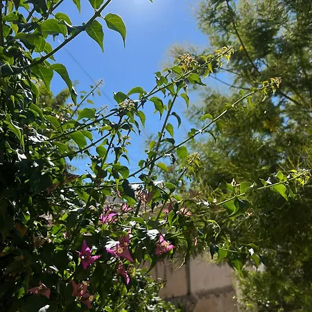 Maison Conviviale Jardin Terrasse * 土伦